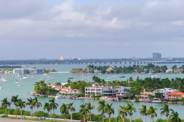 Coastal waterfront with palm trees and sailboats near Gulfport