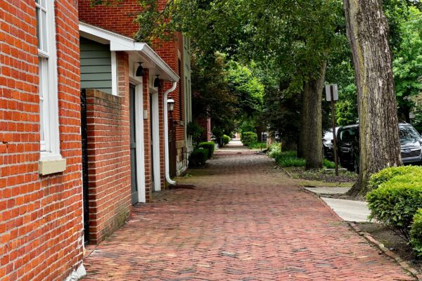 Historic brick-paved street lined with mature trees in Old Northeast